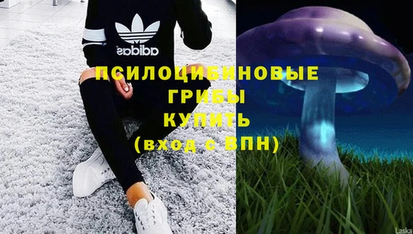 не бодяженный Беломорск