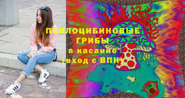 хмурый Бронницы