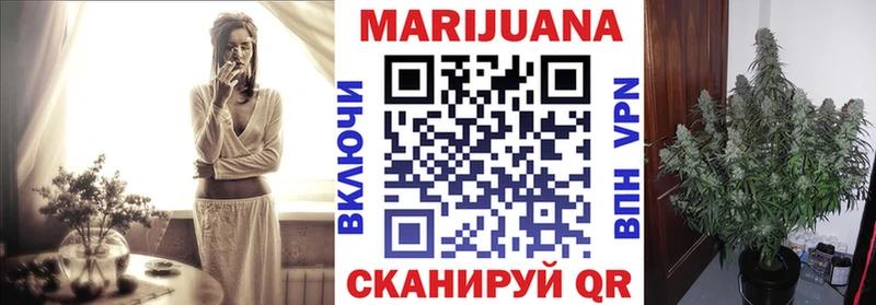 Бошки марихуана Amnesia  Кушва 